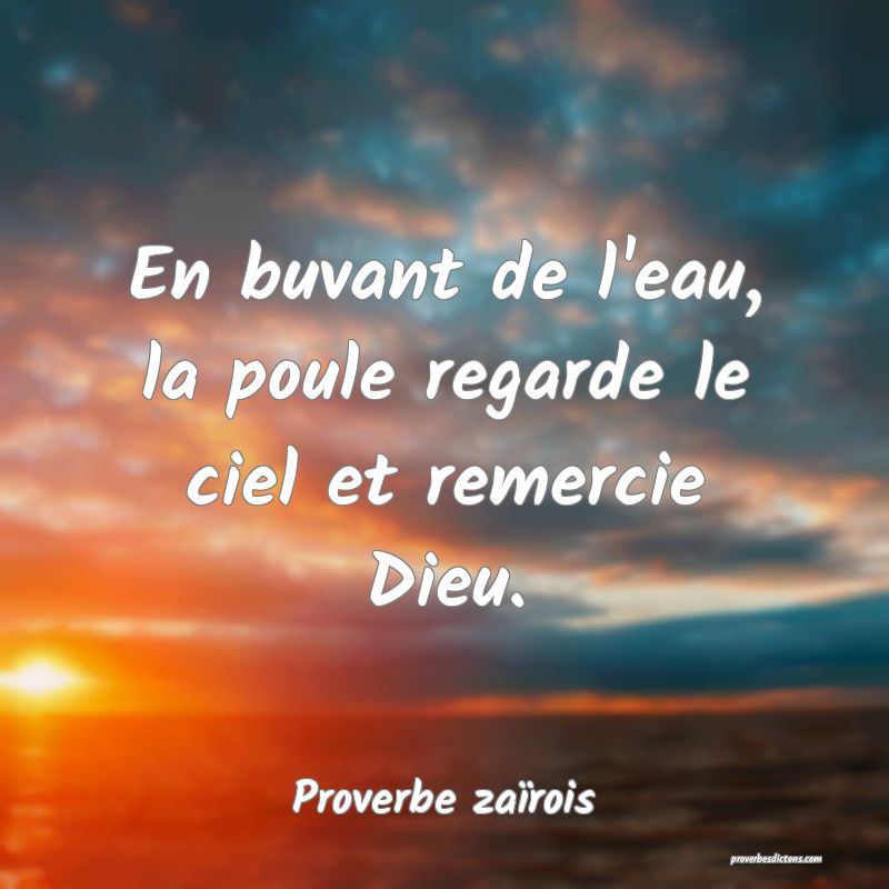 En buvant de l'eau, la poule regarde le ciel et remercie Dieu.