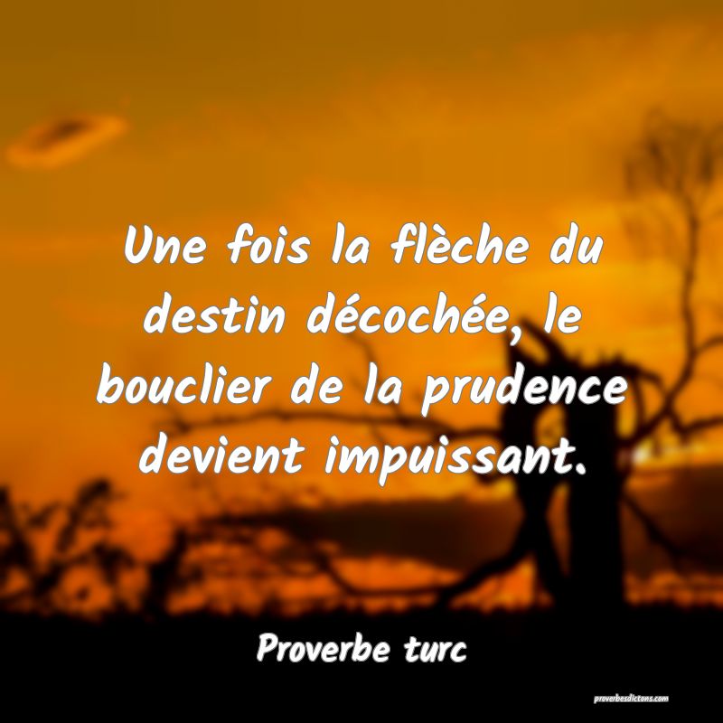 Une fois la flèche du destin décochée, le bouclier de la prudence devient impuissant.