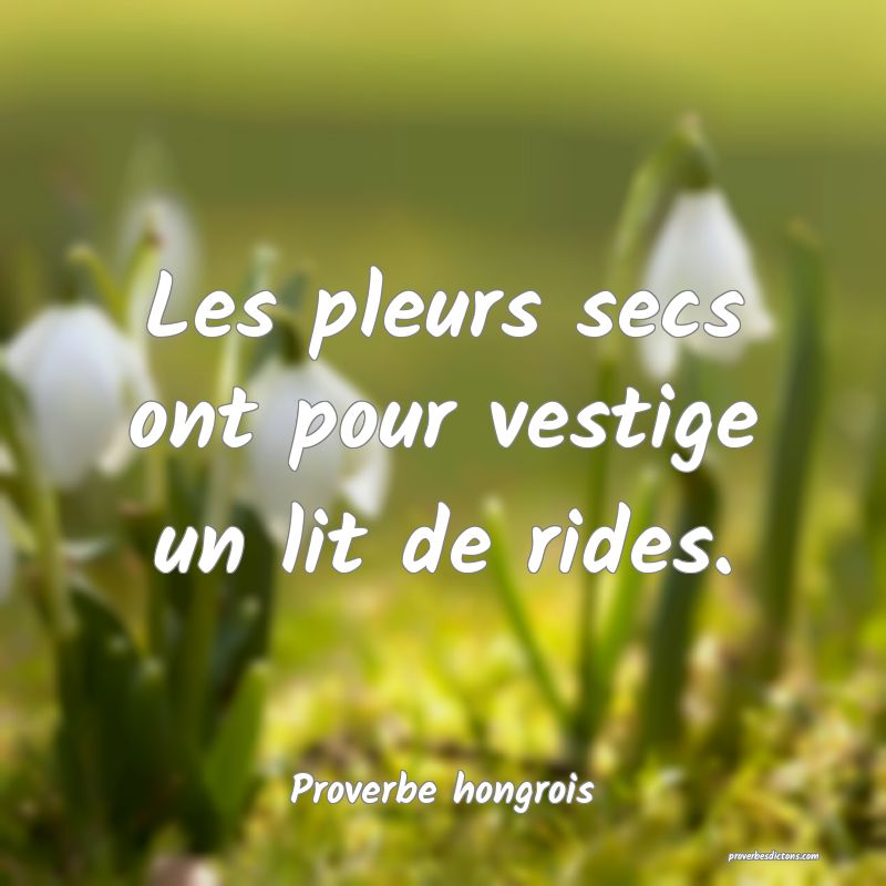 Les pleurs secs ont pour vestige un lit de rides.