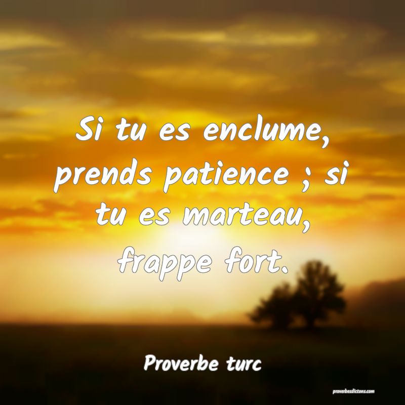 Si tu es enclume, prends patience ; si tu es marteau, frappe fort.