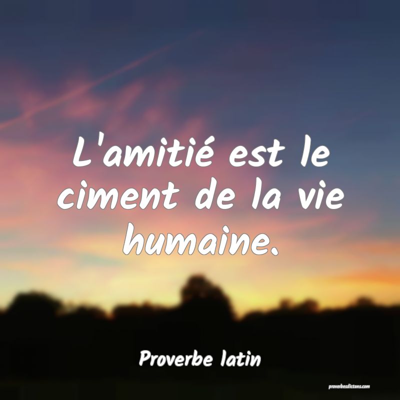 L'amitié est le ciment de la vie humaine.