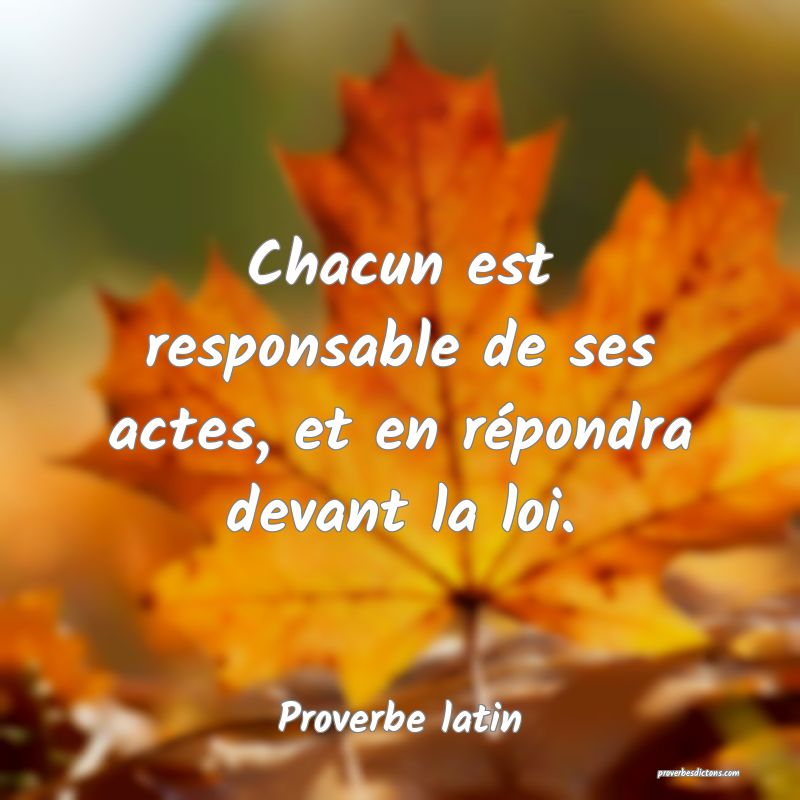Chacun est responsable de ses actes, et en répondra devant la loi.