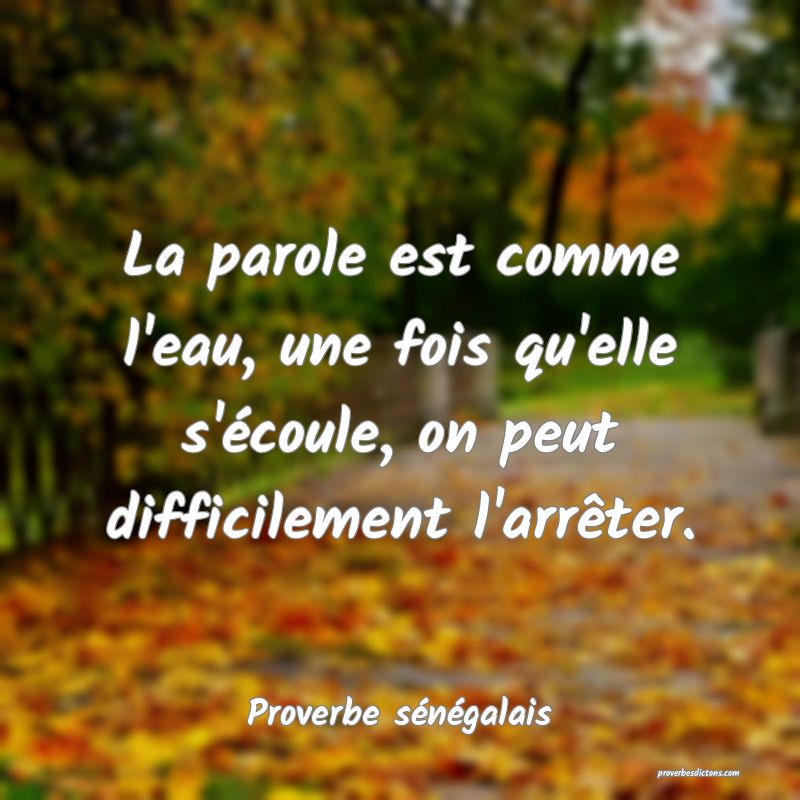 La parole est comme l'eau, une fois qu'elle s'écoule, on peut difficilement l'arrêter.