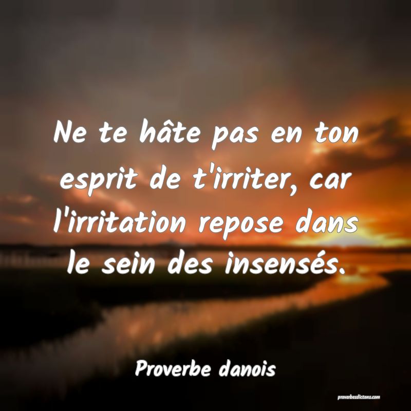 Ne te hâte pas en ton esprit de t'irriter, car l'irritation repose dans le sein des insensés.