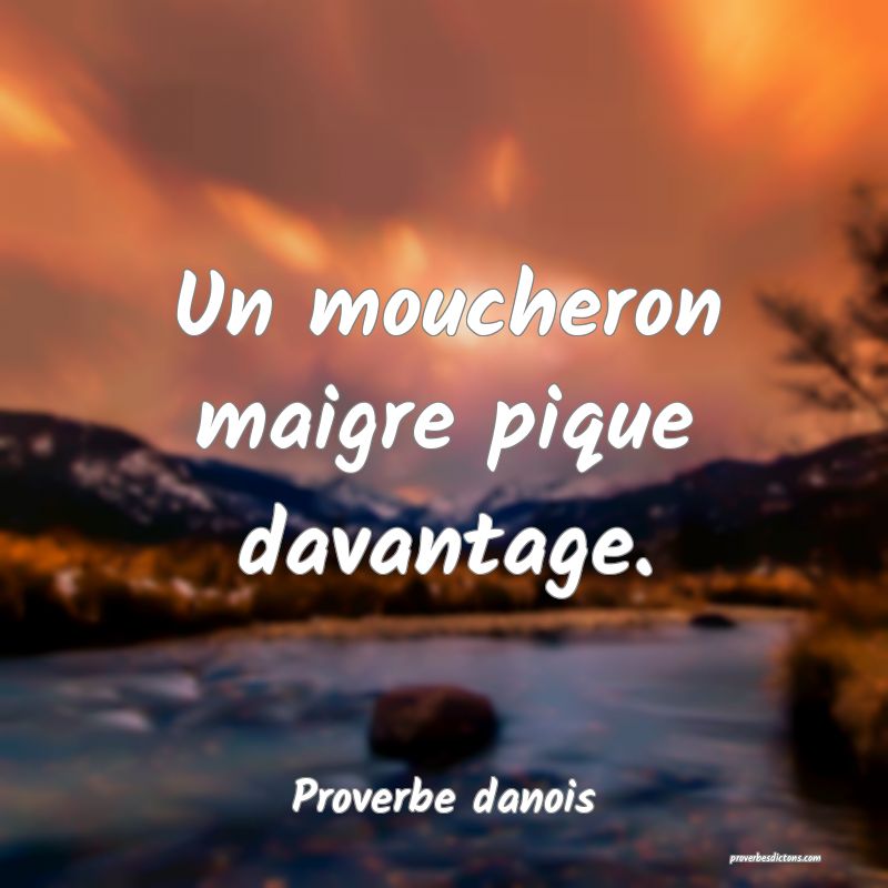 Un moucheron maigre pique davantage.