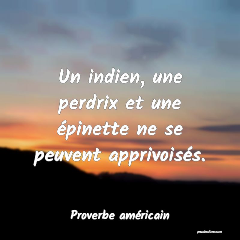 Un indien, une perdrix et une épinette ne se peuvent apprivoisés.