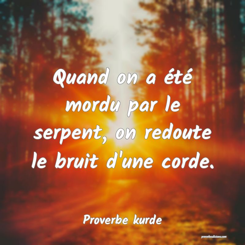 Quand on a été mordu par le serpent, on redoute le bruit d'une corde.