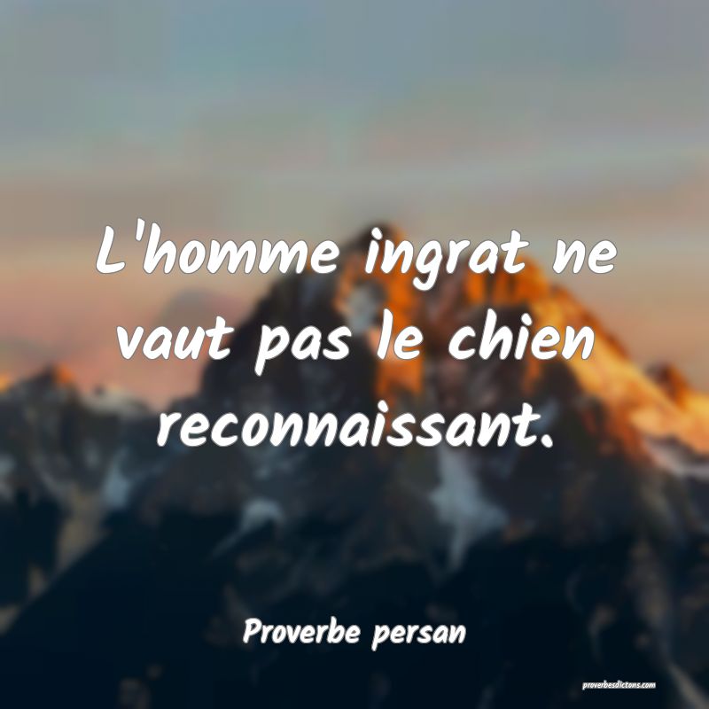 L'homme ingrat ne vaut pas le chien reconnaissant.
