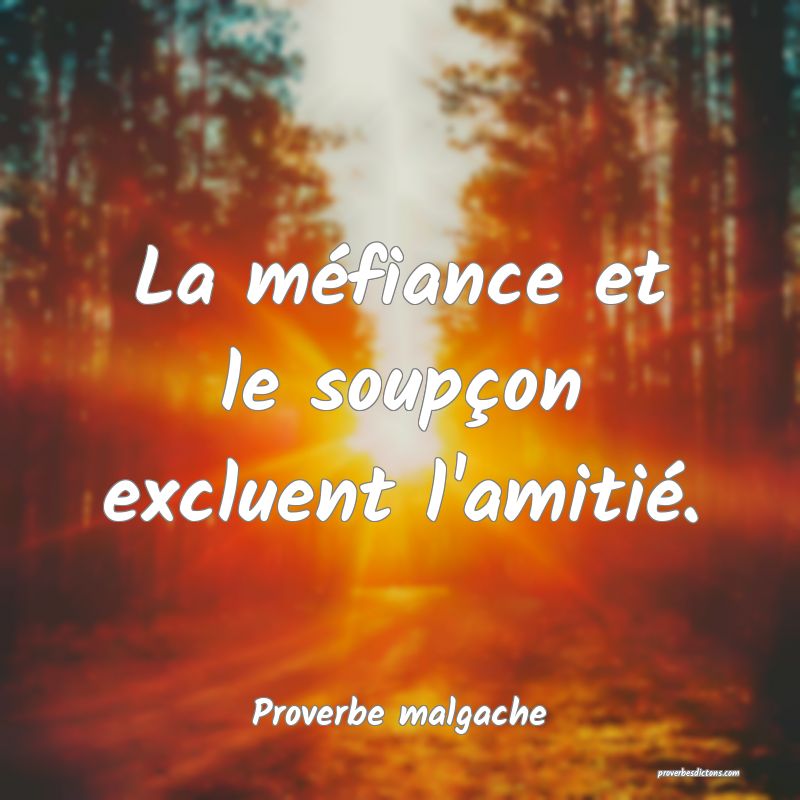 La méfiance et le soupçon excluent l'amitié.