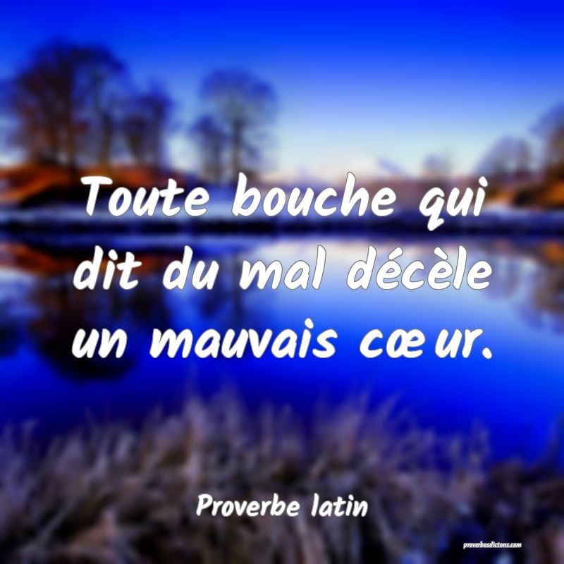 Toute bouche qui dit du mal décèle un mauvais cœur.