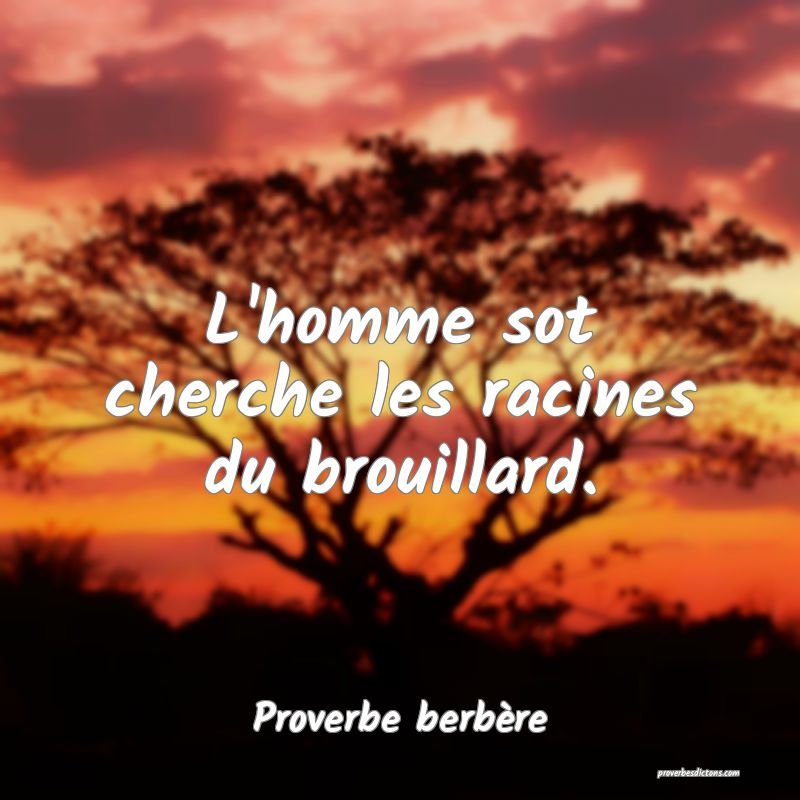 L'homme sot cherche les racines du brouillard.