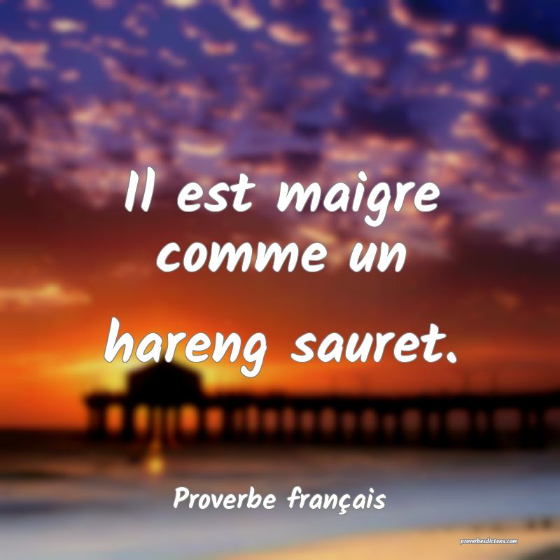 Il est maigre comme un hareng sauret.
