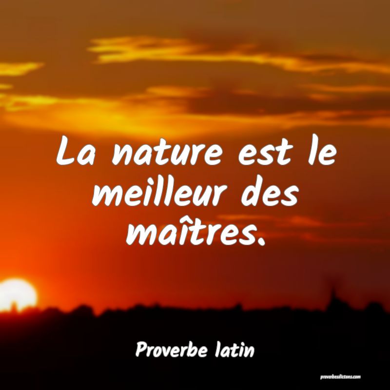 La nature est le meilleur des maîtres.