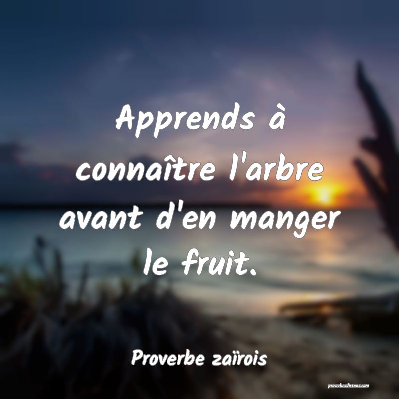 Apprends à connaître l'arbre avant d'en manger le fruit.