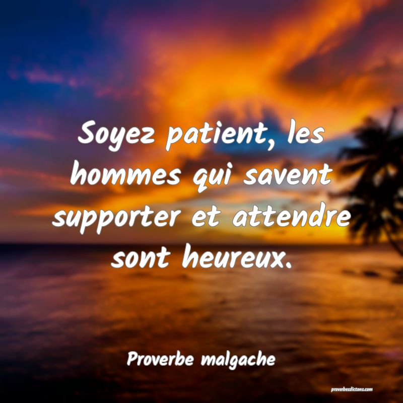 Soyez patient, les hommes qui savent supporter et attendre sont heureux.