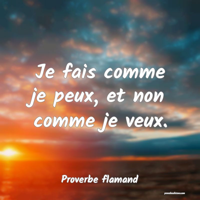 Je fais comme je peux, et non comme je veux.