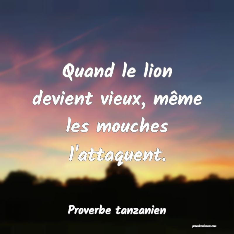 Quand le lion devient vieux, même les mouches l'attaquent.