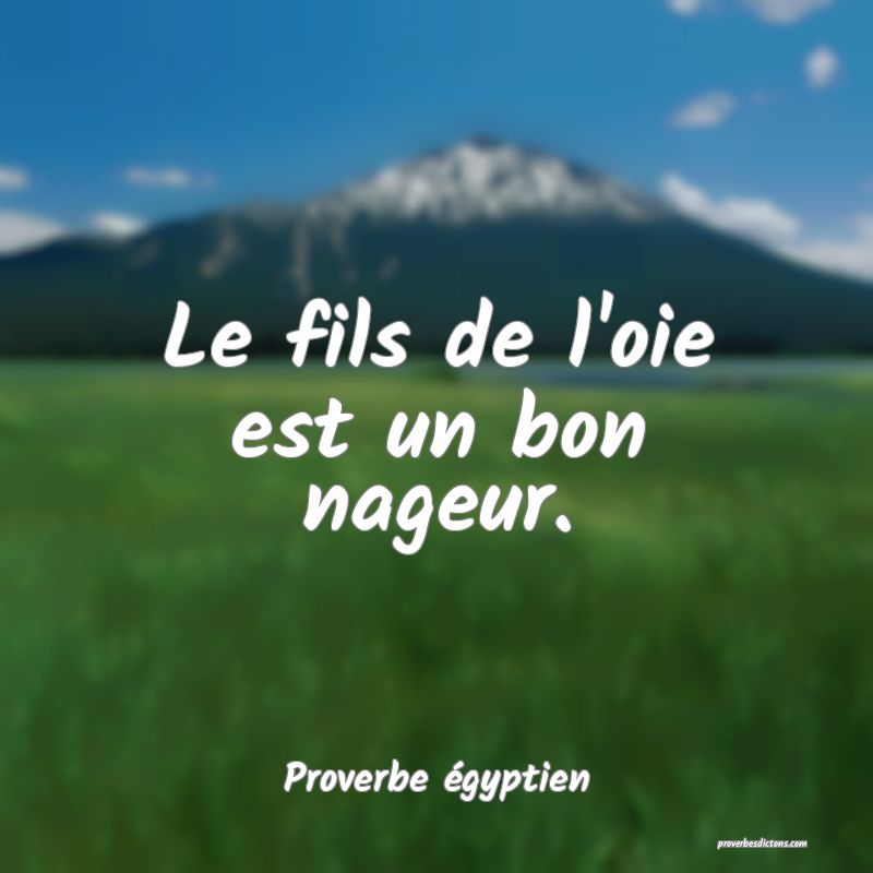 Le fils de l'oie est un bon nageur.