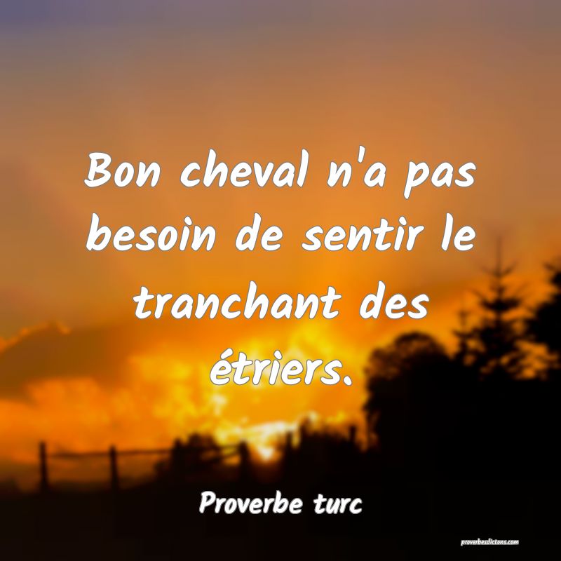 Bon cheval n'a pas besoin de sentir le tranchant des étriers.