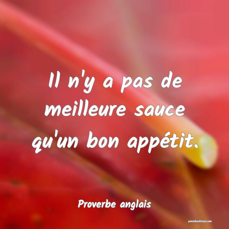 Il n'y a pas de meilleure sauce qu'un bon appétit.