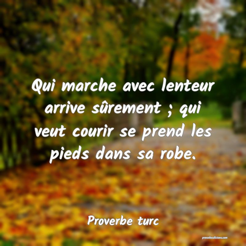 Qui marche avec lenteur arrive sûrement ; qui veut courir se prend les pieds dans sa robe.