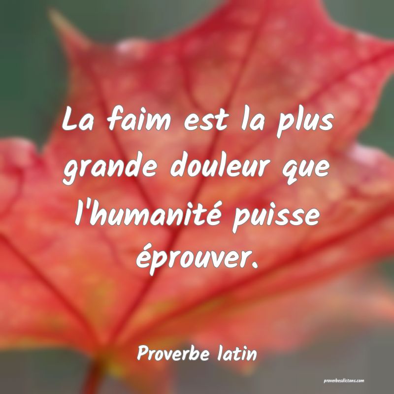 La faim est la plus grande douleur que l'humanité puisse éprouver.