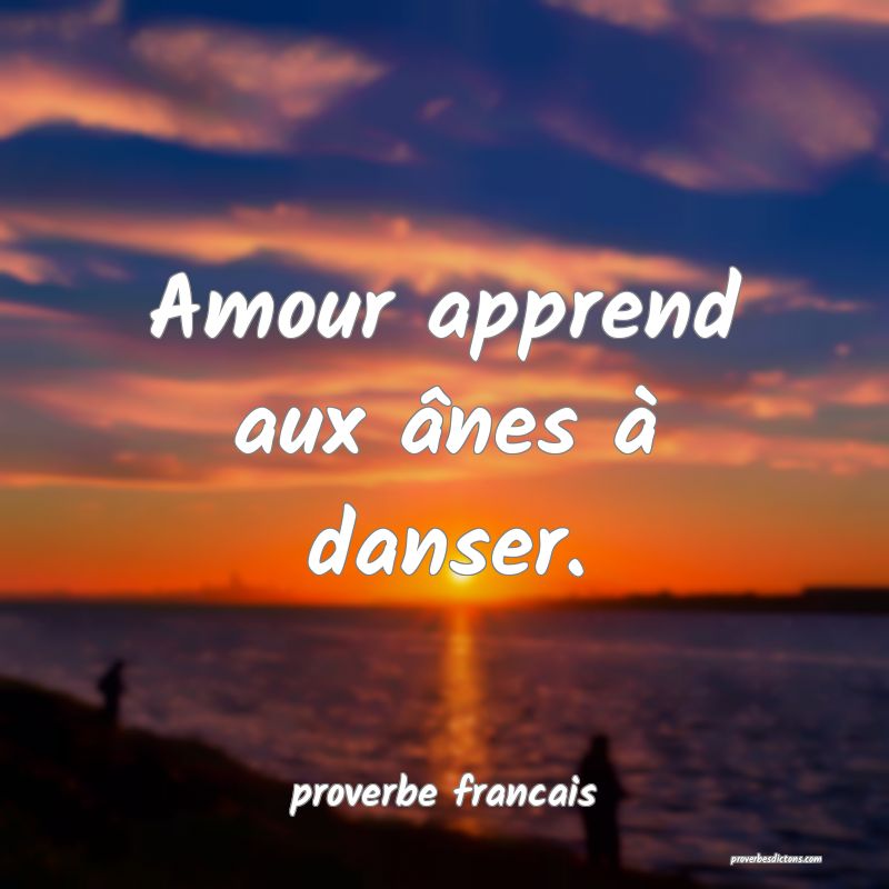  Amour apprend aux ânes à danser.