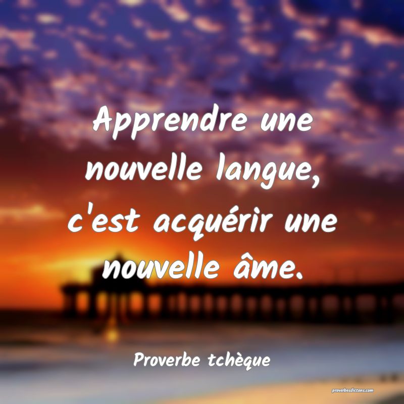 Apprendre une nouvelle langue, c'est acquérir une nouvelle âme.