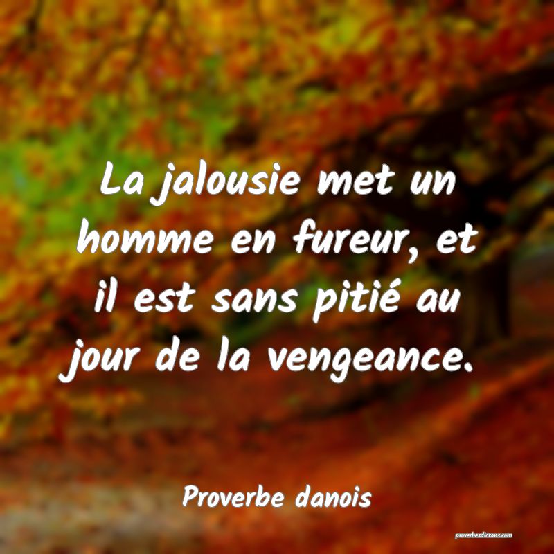 La jalousie met un homme en fureur, et il est sans pitié au jour de la vengeance.