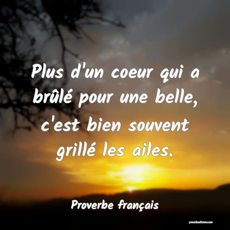 Plus d'un coeur qui a brûlé pour une belle, c'est bien souvent grillé les ailes.