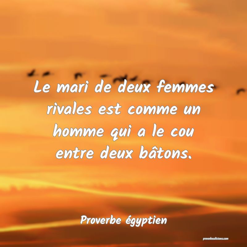Le mari de deux femmes rivales est comme un homme qui a le cou entre deux bâtons.