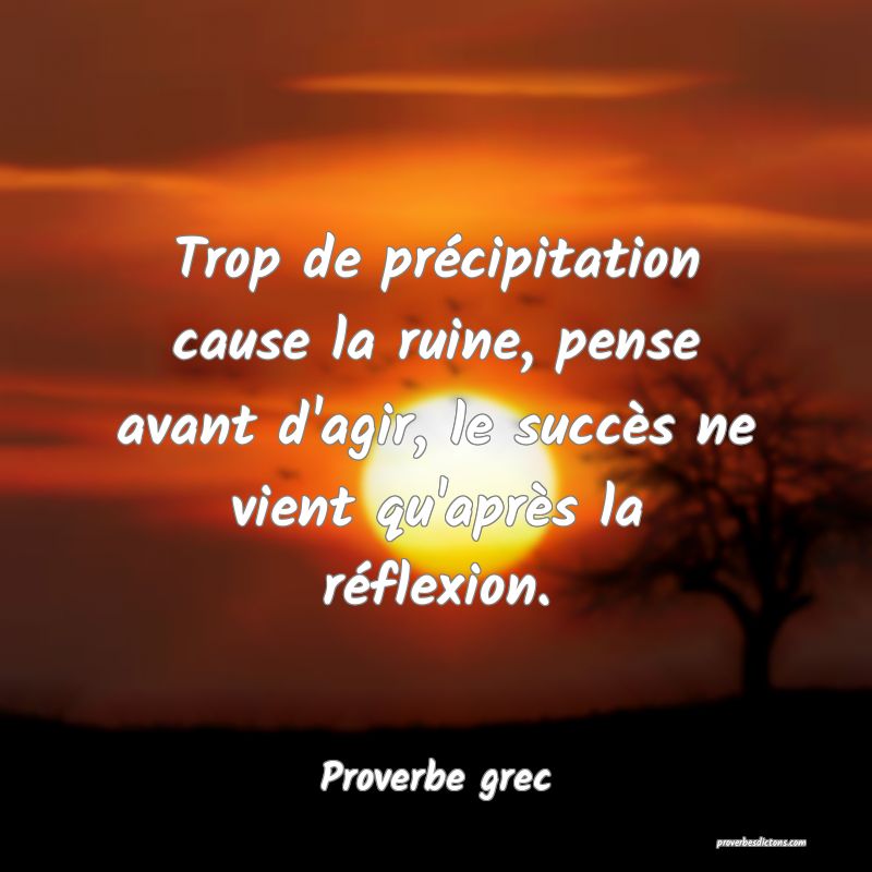 Trop de précipitation cause la ruine, pense avant d'agir, le succès ne vient qu'après la réflexion.
