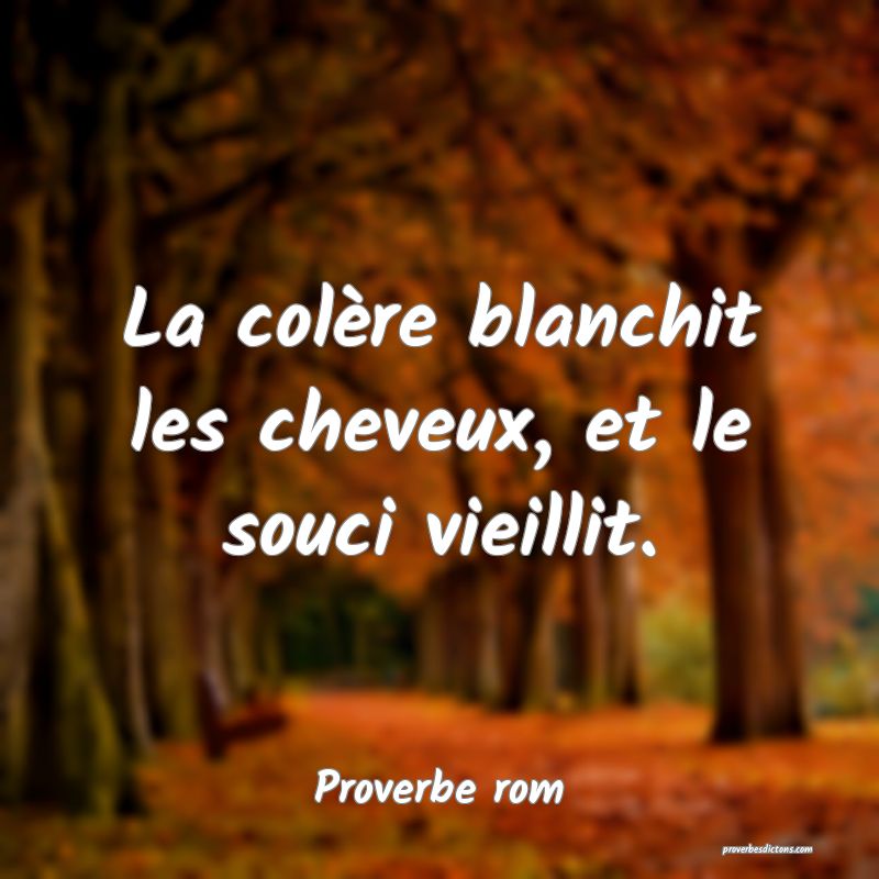 La colère blanchit les cheveux, et le souci vieillit.