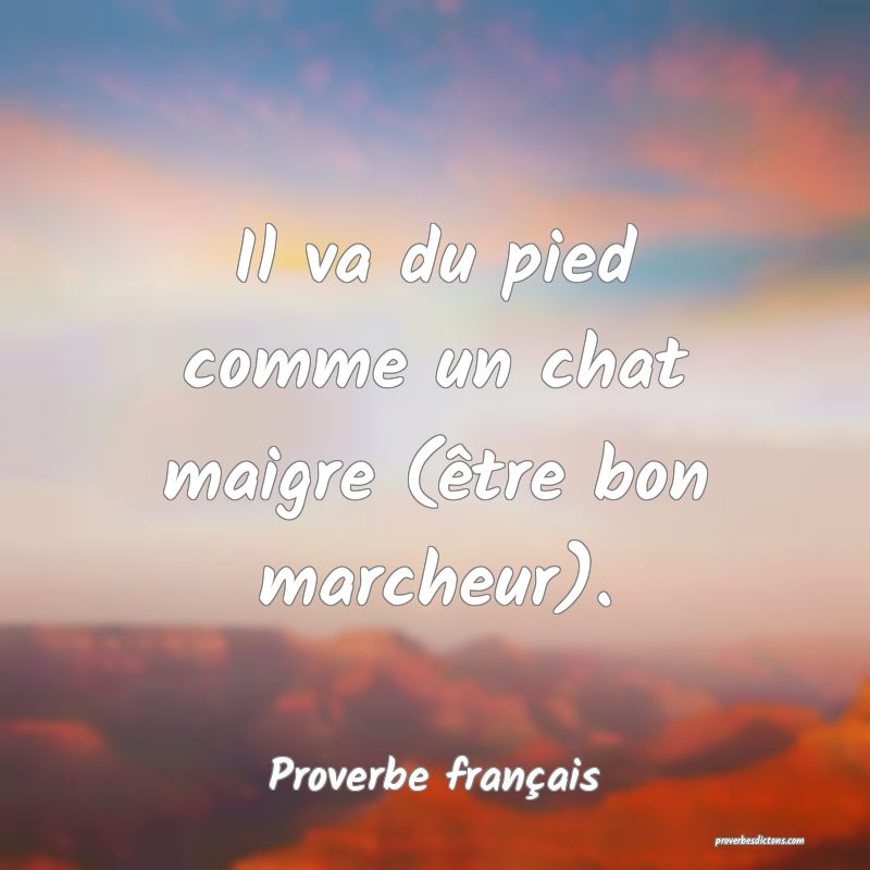 Il va du pied comme un chat maigre (être bon marcheur).