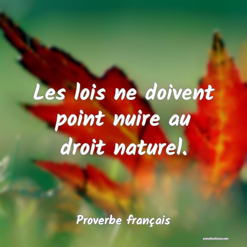 Les lois ne doivent point nuire au droit naturel.