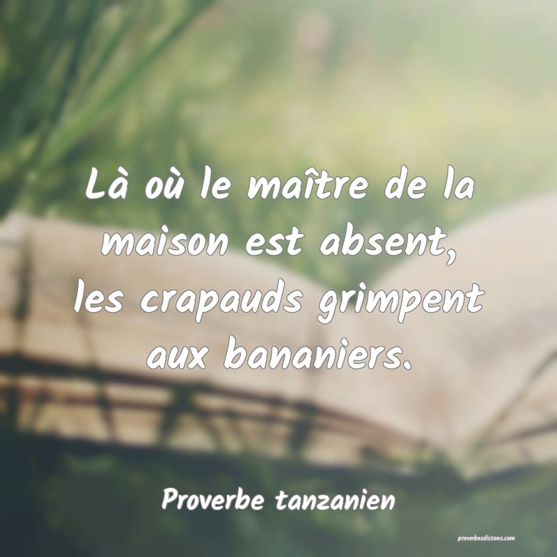 Là où le maître de la maison est absent, les crapauds grimpent aux bananiers.