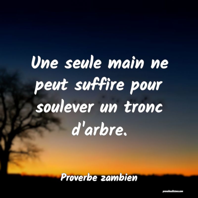 Une seule main ne peut suffire pour soulever un tronc d'arbre.