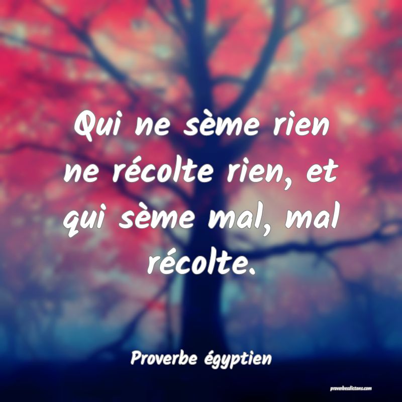 Qui ne sème rien ne récolte rien, et qui sème mal, mal récolte.