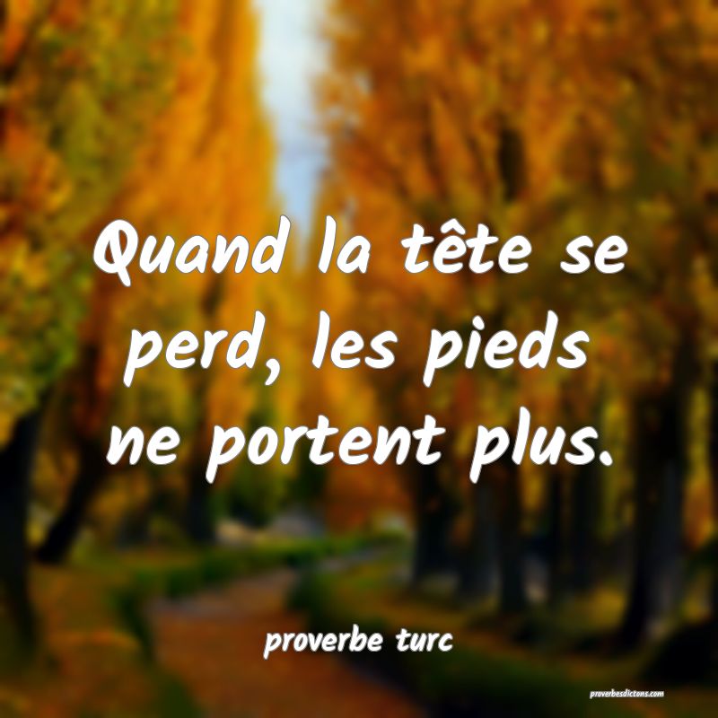  Quand la tête se perd, les pieds ne portent plus.