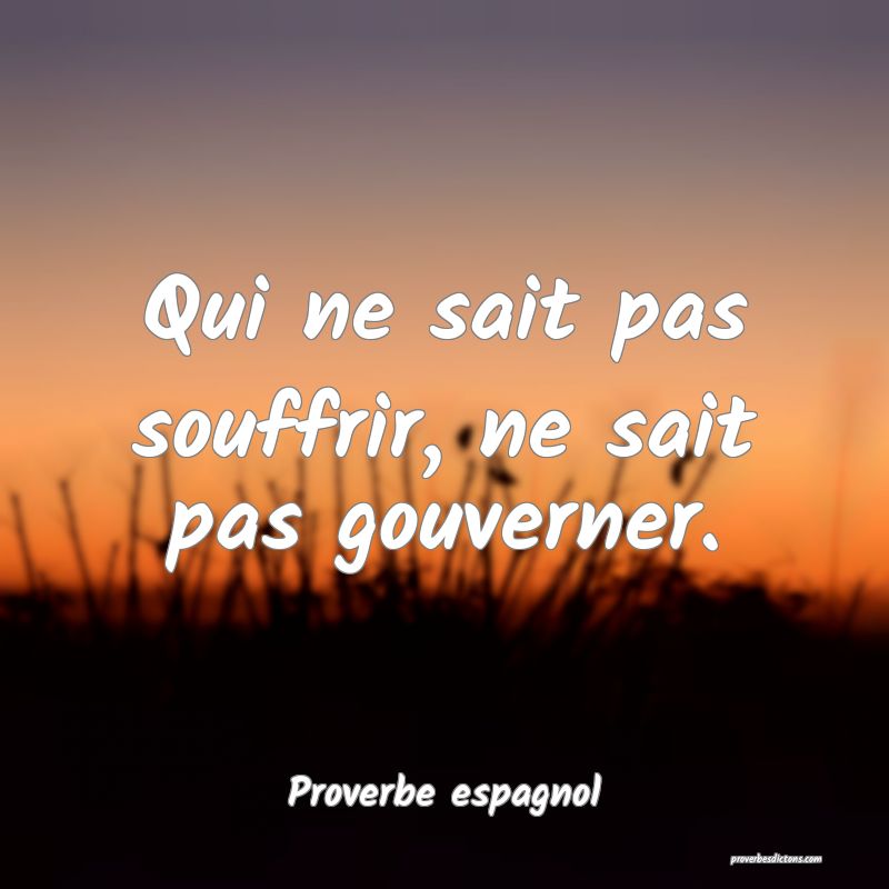 Qui ne sait pas souffrir, ne sait pas gouverner.