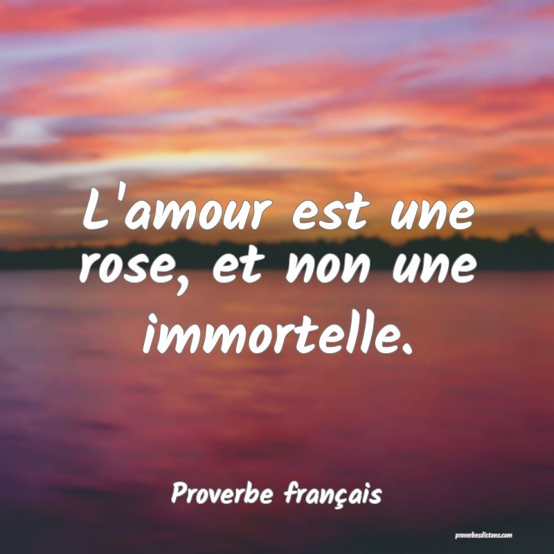L'amour est une rose, et non une immortelle.