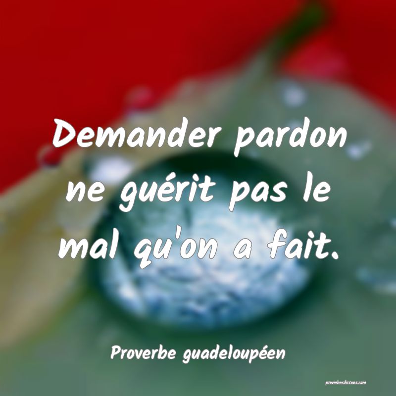 Demander pardon ne guérit pas le mal qu'on a fait.