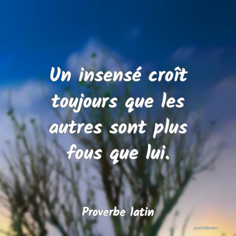 Un insensé croît toujours que les autres sont plus fous que lui.