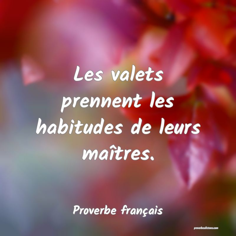 Les valets prennent les habitudes de leurs maîtres.