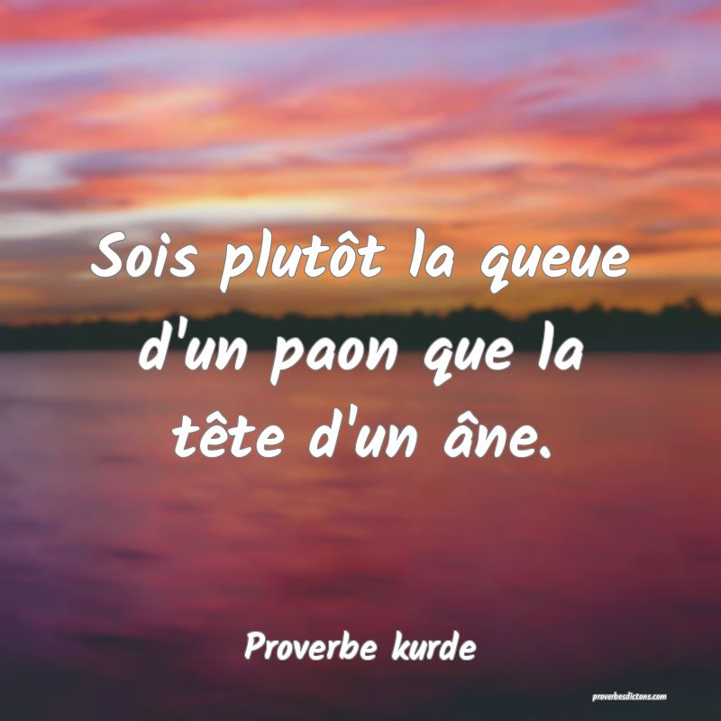 Sois plutôt la queue d'un paon que la tête d'un âne.