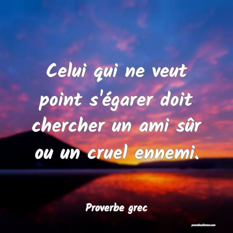 Celui qui ne veut point s'égarer doit chercher un ami sûr ou un cruel ennemi.