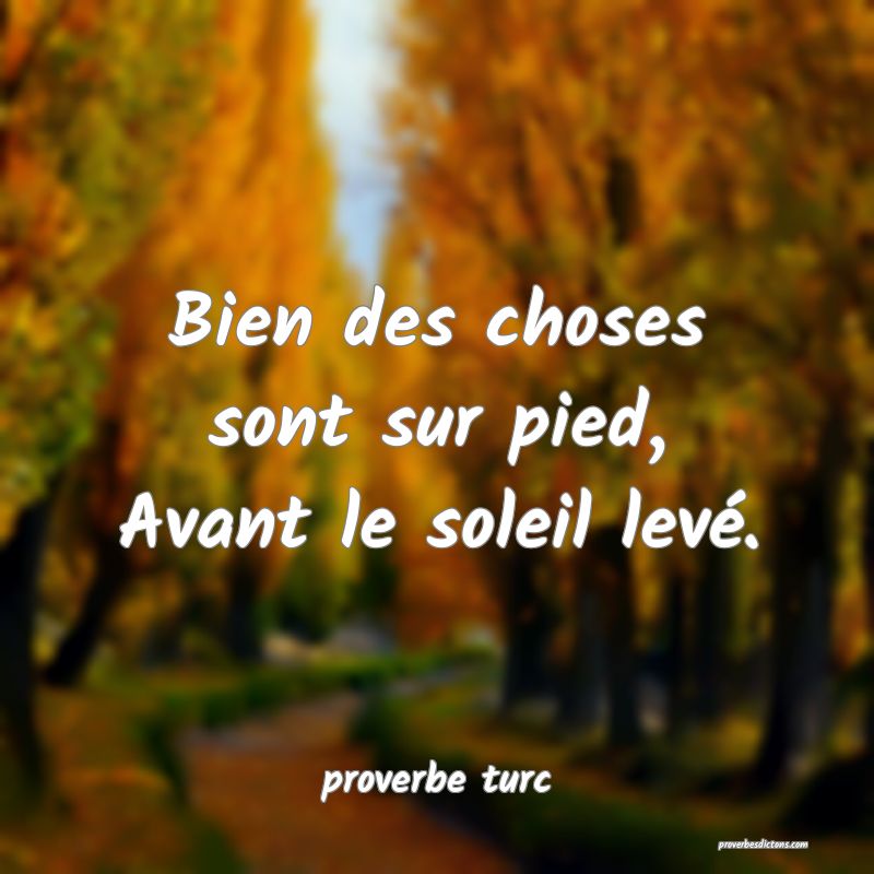  Bien des choses sont sur pied, Avant le soleil levé.