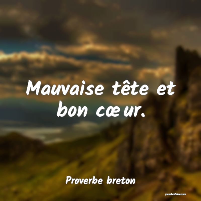 Mauvaise tête et bon cœur.