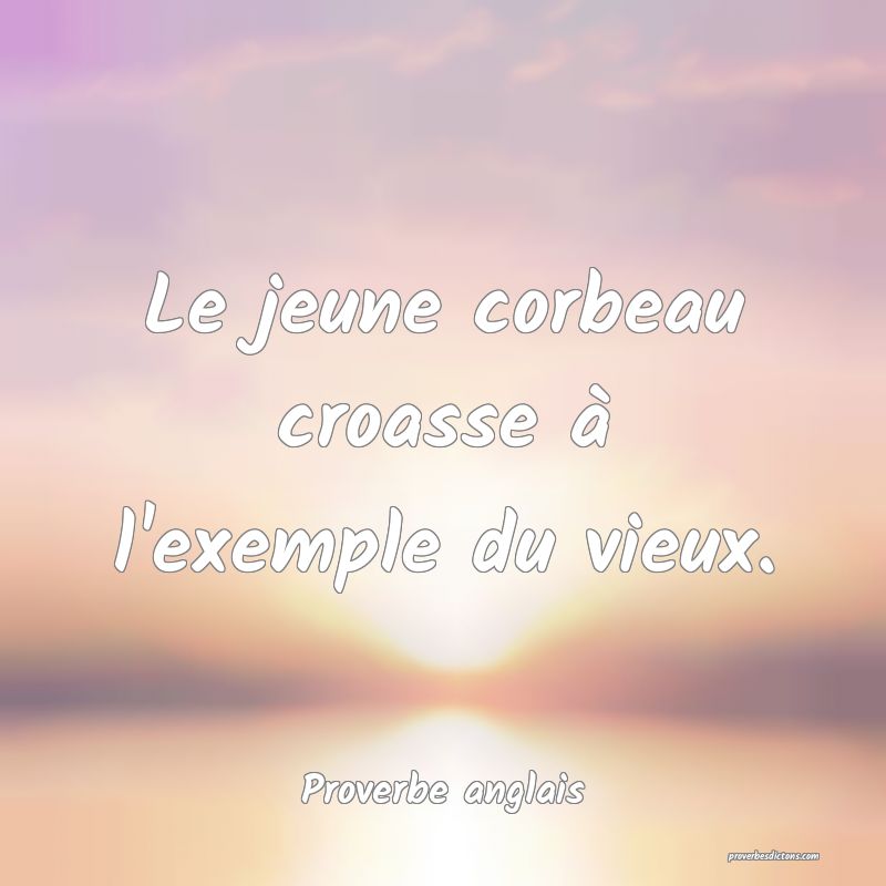 Le jeune corbeau croasse à l'exemple du vieux.