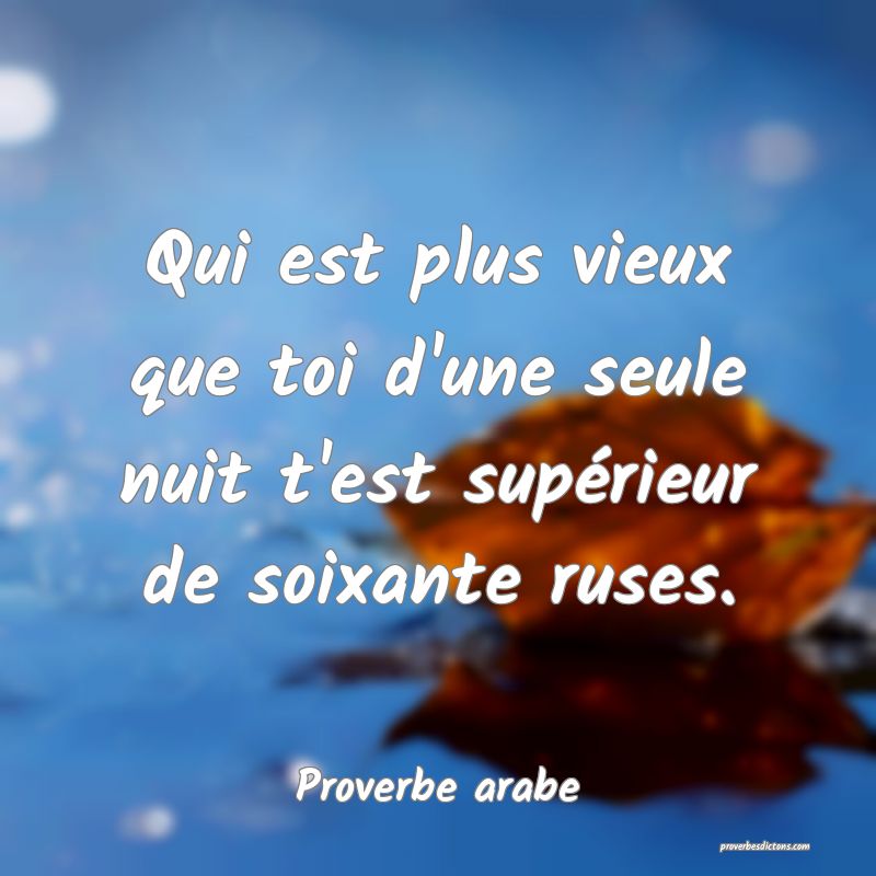 Qui est plus vieux que toi d'une seule nuit t'est supérieur de soixante ruses.